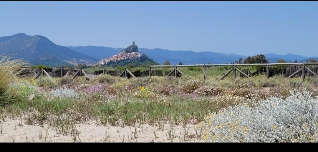 Casa Daniela A 50 M Dalla Spiaggia Villa San Giovanni  Esterno foto